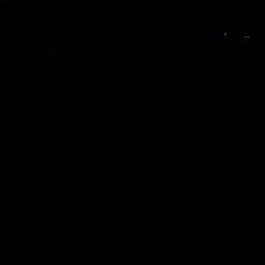 Meet your Posher, Ricky